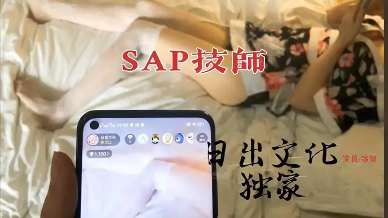 SAP技师极品服务